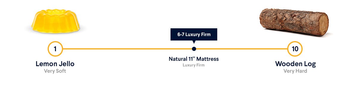 Nolah Natural mattress layers diagram showing organic cotton wool Talalay latex and coil system