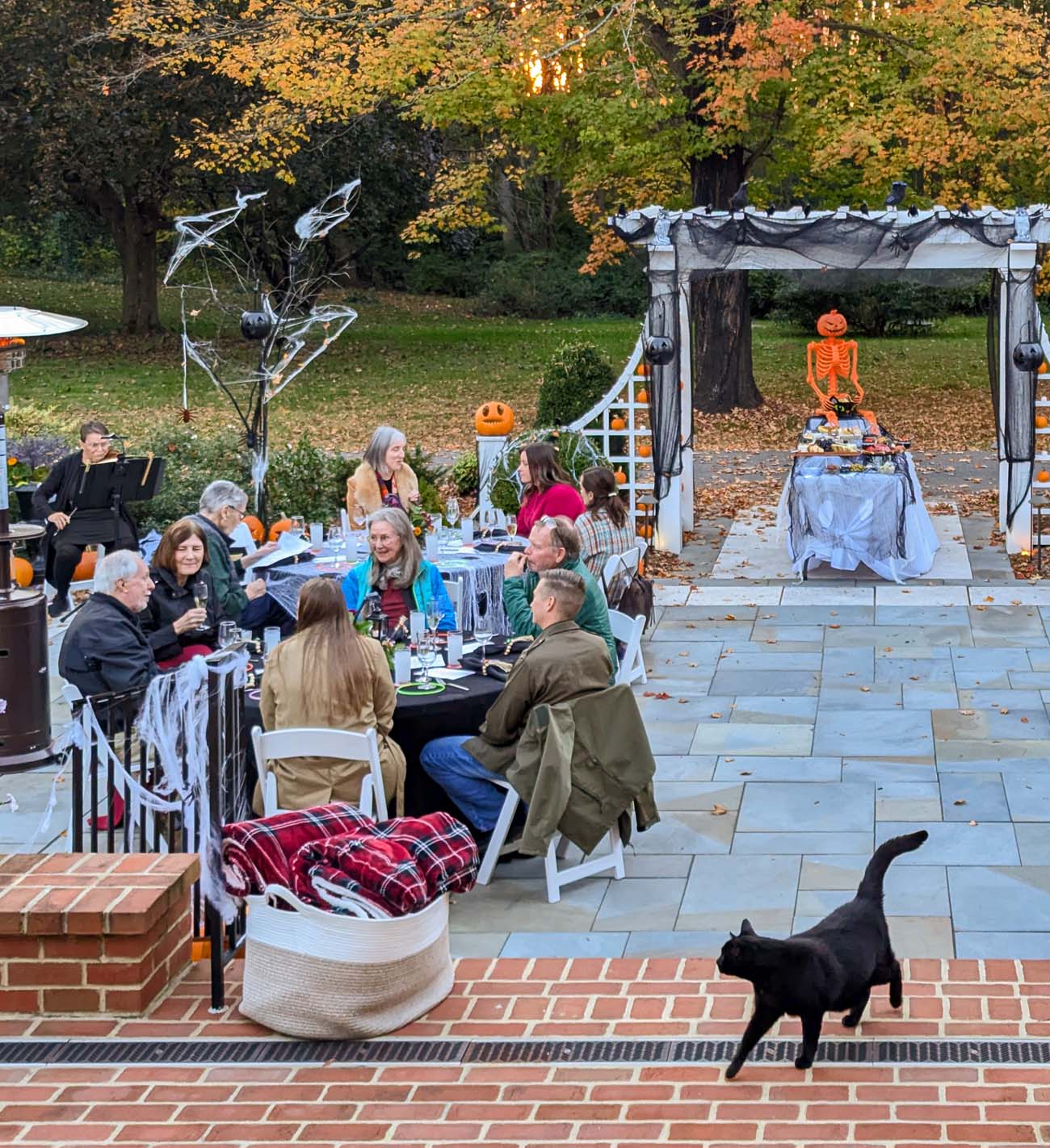 Outdoor patio dining scene with guests at tables, orange skeleton decoration visible at buffet table, string lights overhead, black cat walking through scene