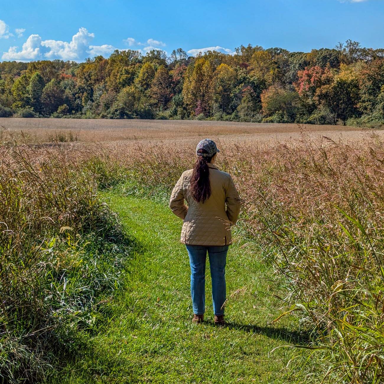 Woman in tan jacket and baseball cap standing on mowed grass trail overlooking golden meadow with fall foliage treeline displaying yellows, oranges and reds against bright blue sky with white clouds