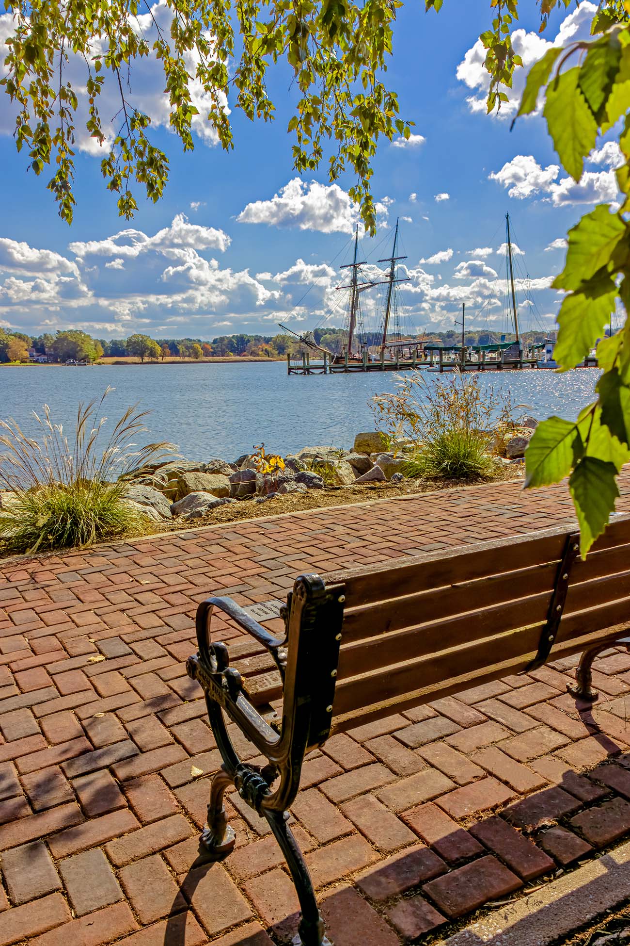 Chester River waterfront view with tall ship and sailboats docked at marina, brick walkway with park bench in foreground, green leaves framing top of image, fall foliage visible across river, blue sky with puffy clouds