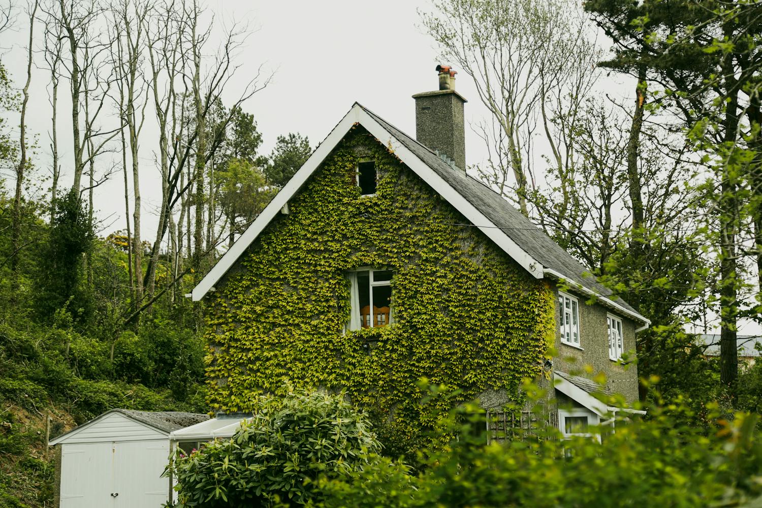 4 Essentials to Focus on When Buying a Holiday Rental | Better Living